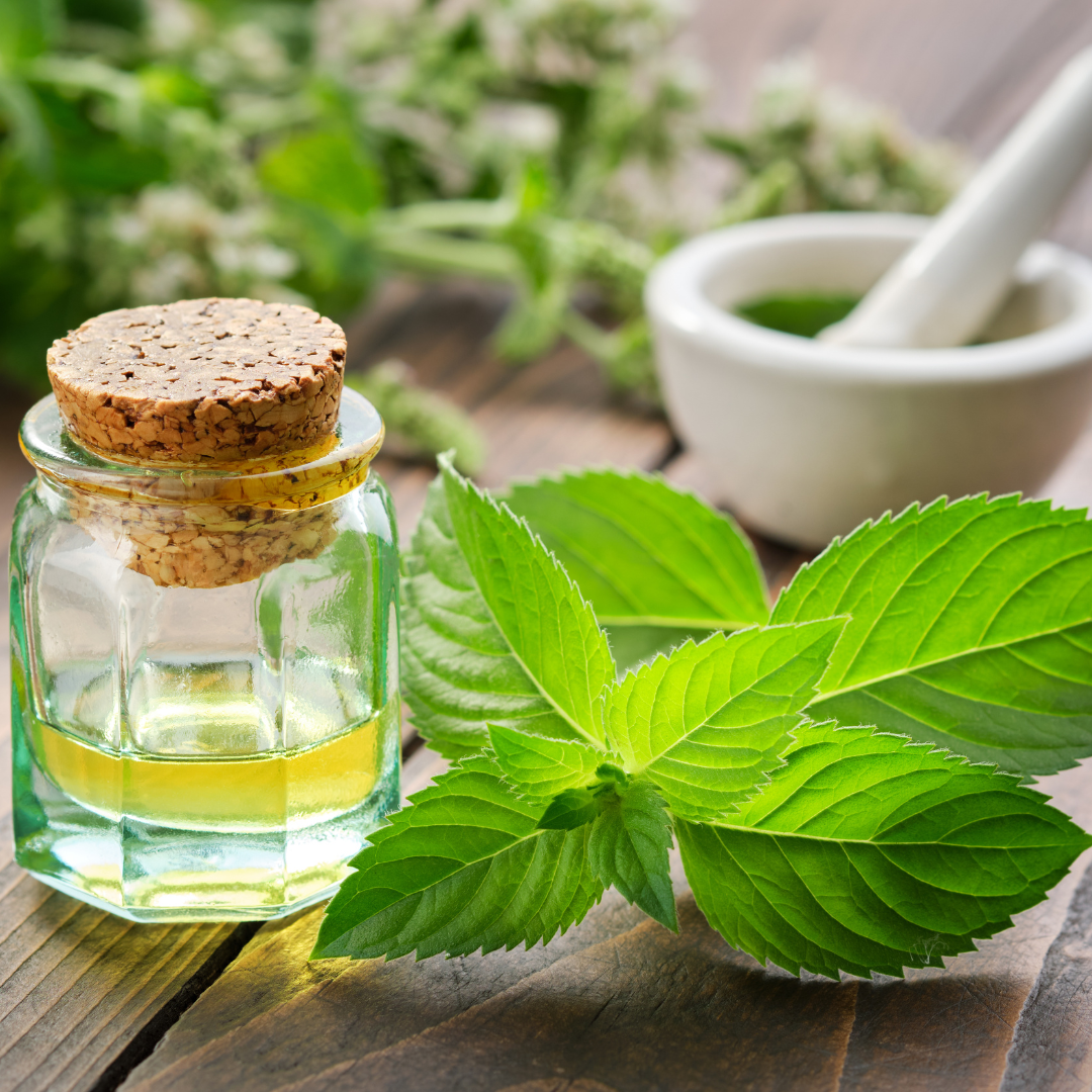 Peppermint Oil for strong curly hair