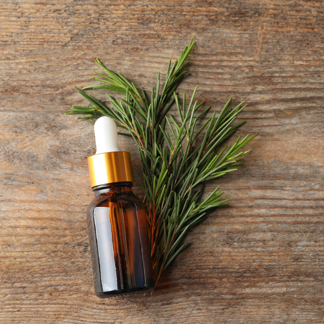 Tea Tree Oil: A Natural Elixir for Nourishing Curly Hair – En Love Beauty