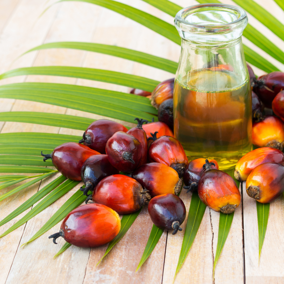 The Magic of Batana Oil: A Must-Have for Gorgeous Curls